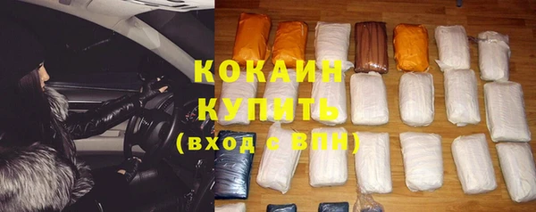 стаф Мегион