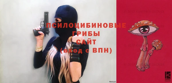 соль ск Медногорск