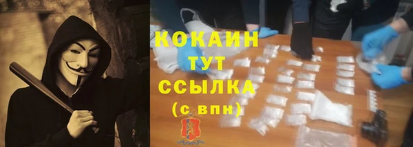 сатива Магадан