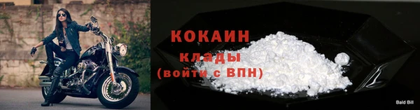 трава Медвежьегорск