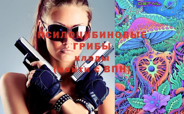 спиды Аша