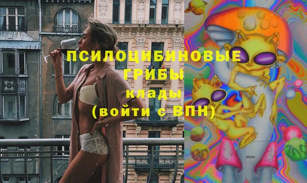 сатива Магадан