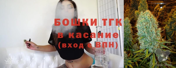 соль ск Медногорск
