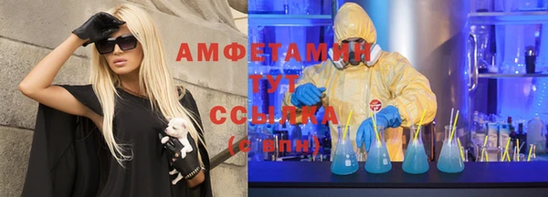 трава Медвежьегорск